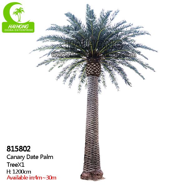 Künstliche Palmen für Außenseite