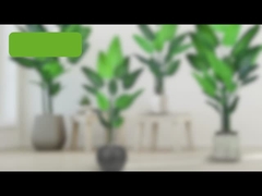 Falsche Reisendepalme - 180cm / 200cm realistische PE-Blatt künstliche Pl