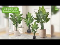 Künstliche Reisepalme mit realistischen Blatträndern 160cm 180cm | Naturgetreue künstliche Strelitzie