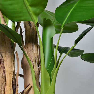 Wholesale 7 FT Artificial Banana Tree Plant | Natural Bark Trunk | Free Maintenance | Indoor Palm for Living Room & Office Decor