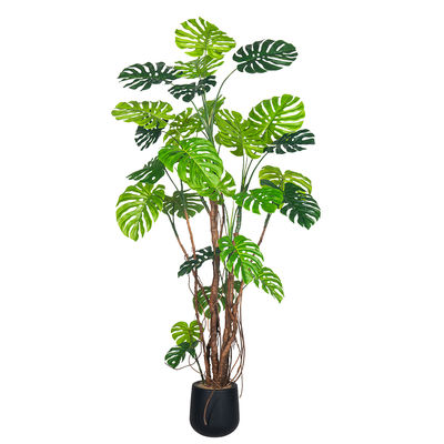 240cm Giant Artificial Monstera Plants With Realistic Leaves For Office & Hotel Decor