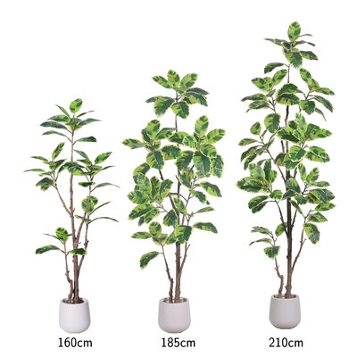 Latest New Arrival Artificial Indoor Plants Potted Plants Green White Faux Rubber Tree for Decoration Home Office Small Plastic
