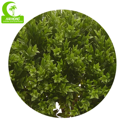 Anti Fading Artificial Topiary Tree , Artificial Spiral Tree 110cm