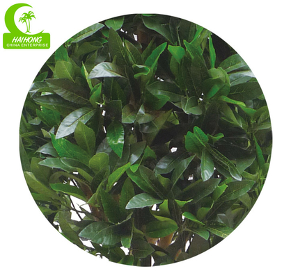Lifelike Anti UV 6ft Artificial Outdoor Trees , Artificial Bay Leaf Tree For Garden