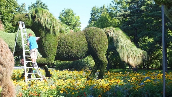 HAIHONG Beautiful Plants And Flowers Topiary Sculpture Fashionable