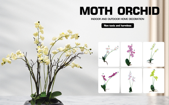 Lifelike Green Artificial Tropical Plant For Office Table Moth Orchid