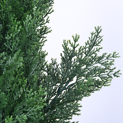 120-200cm Custom Size Artificial Cypress Evergreen In All Seasons Potted Floor Plants