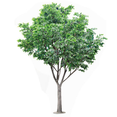 Artificial Banyan Tree For Decoration， Customized UV-Resistant And Flame-Retardant 5M Height