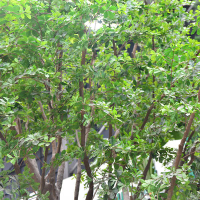 Artificial Banyan Tree For Decoration， Customized UV-Resistant And Flame-Retardant 5M Height