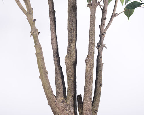 Ultra-Realistic Multi-Trunk Faux Ficus Tree 2.5m Artificial Banyan Tree For Decoration​ Of Hotel Home Living Room