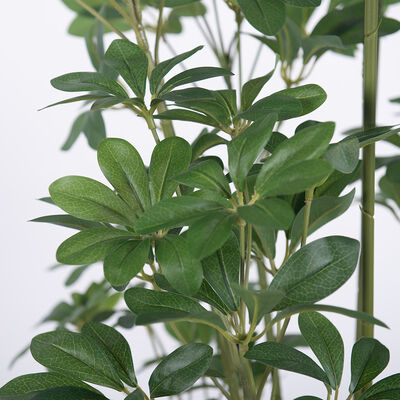Artificial Multi-Stem Schefflera Plant 120cm 150cm 180cm | Faux Arboricola for Indoor Office & Home Decor