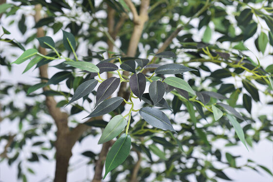 Lifelike Artificial Mini Ficus Tree - Artistic Trunk in 7.5FT/9.2FT, Low Maintenance for Luxury Spa & Restaurant Interior Design