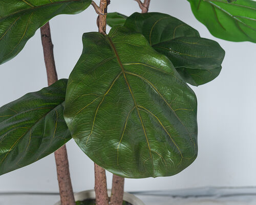 Artificial Fiddle Leaf Fig Tree 150cm 180cm 210cm Faux Ficus Lyrata Large Fake Plant for Home Office Decor